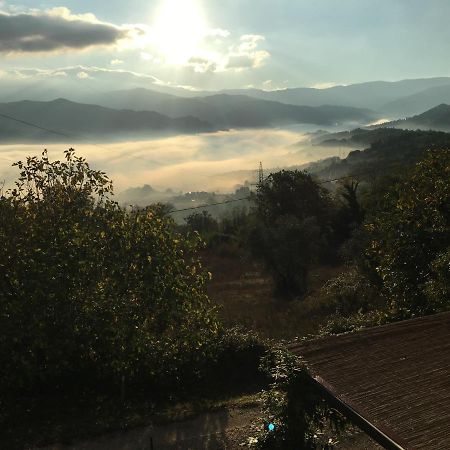 Il Mugello B&B Vicchio Exteriér fotografie