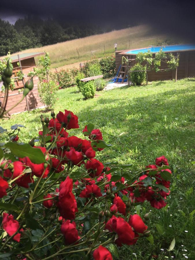 Il Mugello B&B Vicchio Exteriér fotografie