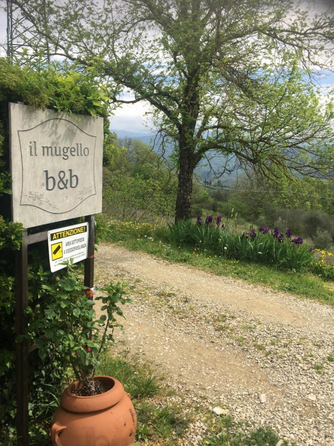 Il Mugello B&B Vicchio Exteriér fotografie