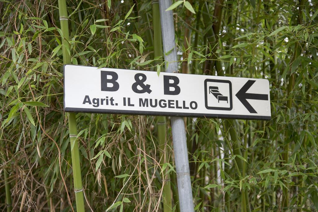Il Mugello B&B Vicchio Exteriér fotografie