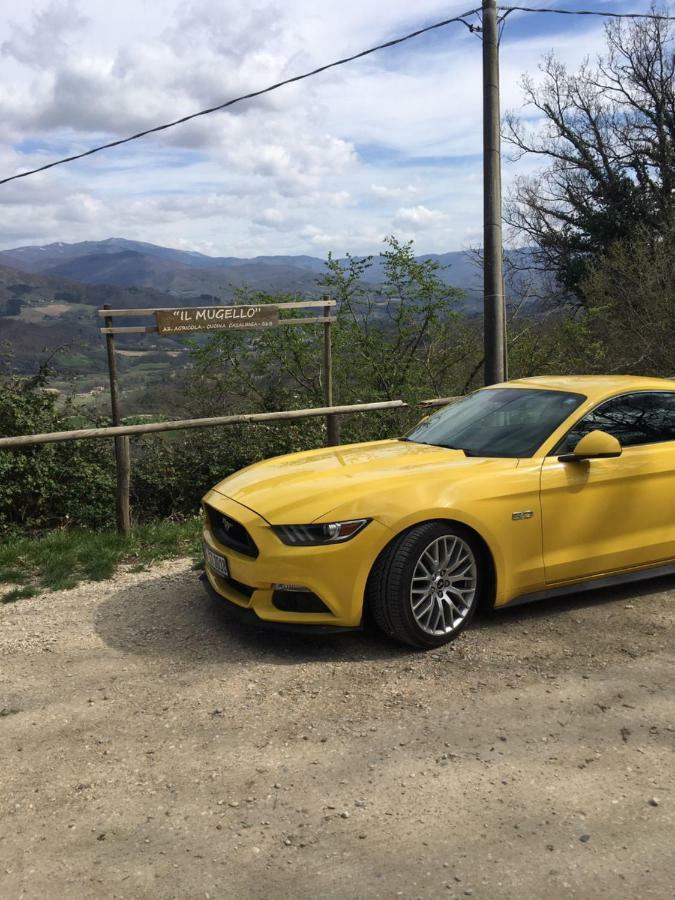 Il Mugello B&B Vicchio Exteriér fotografie